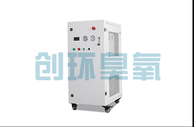 通化工厂化养鲈必看:2026年臭氧发生器替代传统消毒的最新方案