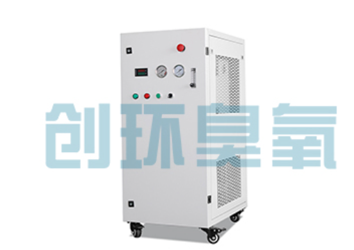 通化石斑鱼养殖水质调控完整指南:臭氧发生器配置与操作步骤