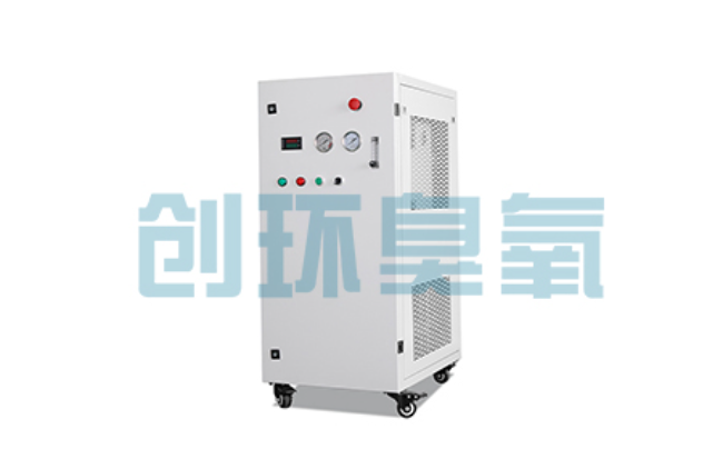 通化比传统换水更高效?臭氧发生器在石斑鱼养殖中的水质净化原理解析